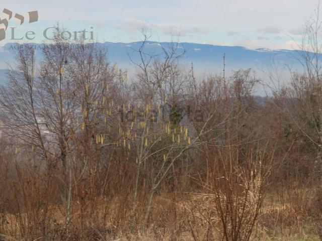 Terreno in vendita di 79194 m²