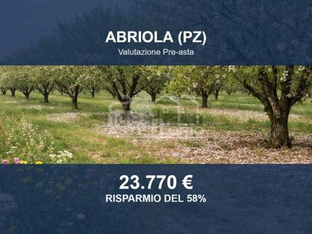 Terreno in vendita di 80497 m² in Strada Provinciale 16 Marsicana