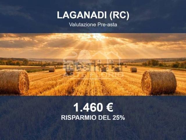 Terreno in vendita di 8070 m² in Vico Aspromonte