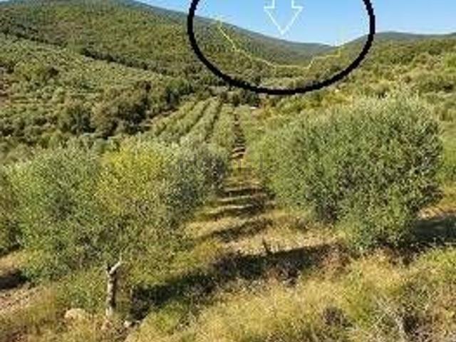 Terreno in vendita di 80000 m²