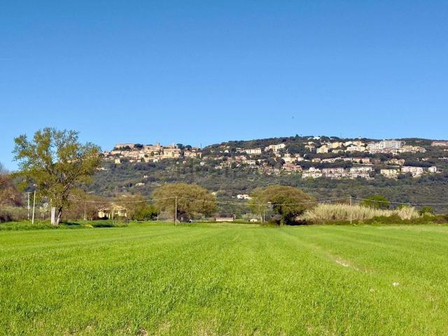Terreno in vendita di 80000 m²
