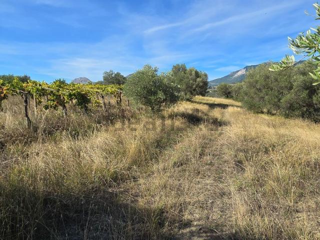 Terreno in vendita di 80000 m² in Contrada Solagne