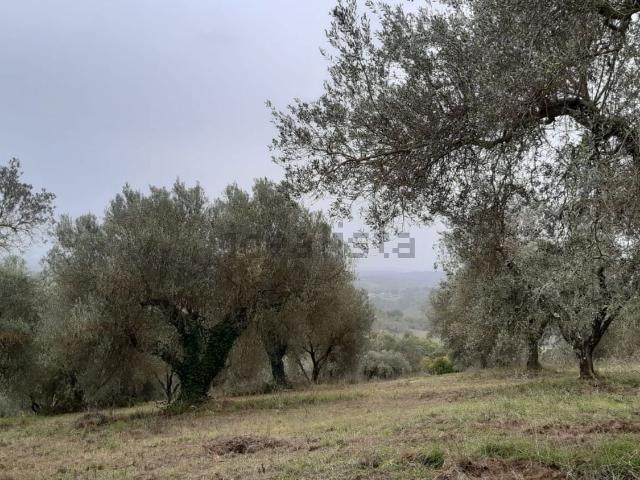 Terreno in vendita di 80000 m² in Strada di Magugnano, 1