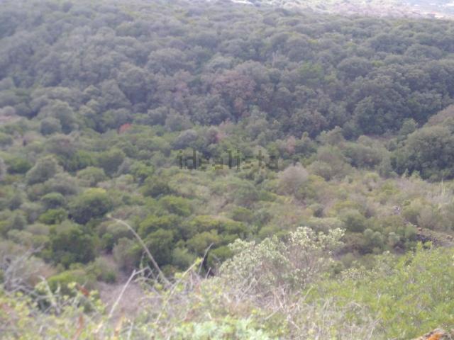 Terreno in vendita di 80000 m² in Strada Perimetrale dietro Isola, 296