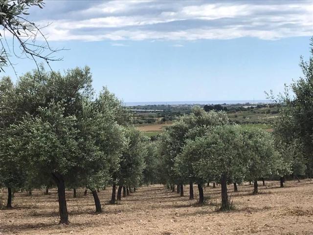 Terreno in vendita di 80000 m² in Strada Provinciale 11
