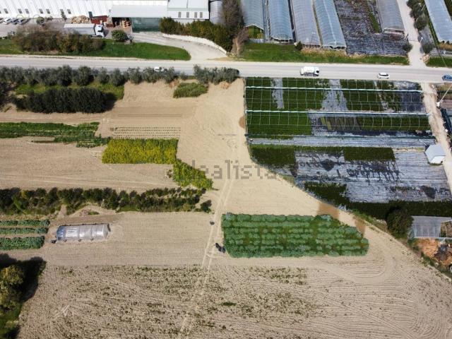 Terreno in vendita di 8000 m² in Strada Provinciale 92