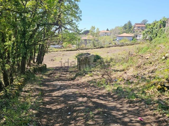Terreno in vendita di 8000 m² in Strada Provinciale 141