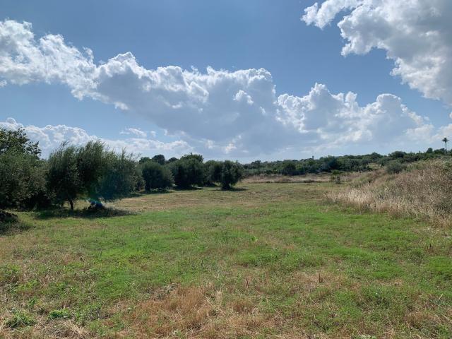 Terreno in vendita di 8000 m² in Via Camera