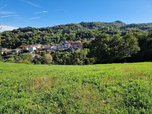 Terreno in vendita di 8000 m² in Via Caecchioli