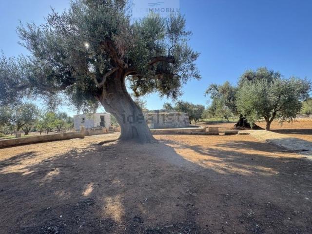 Terreno in vendita di 8000 m² in Via Carovigno