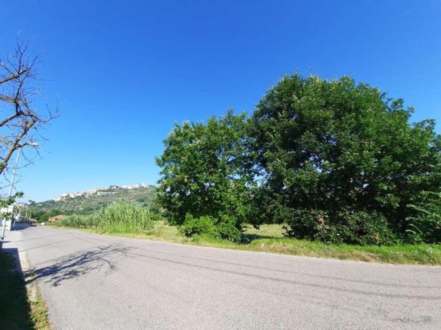 Terreno in vendita di 8000 m²