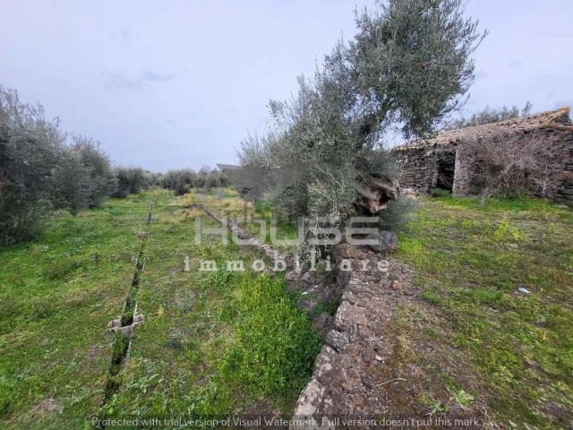 Terreno in vendita di 8000 m²