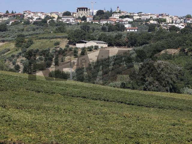 Terreno in vendita di 800 m²