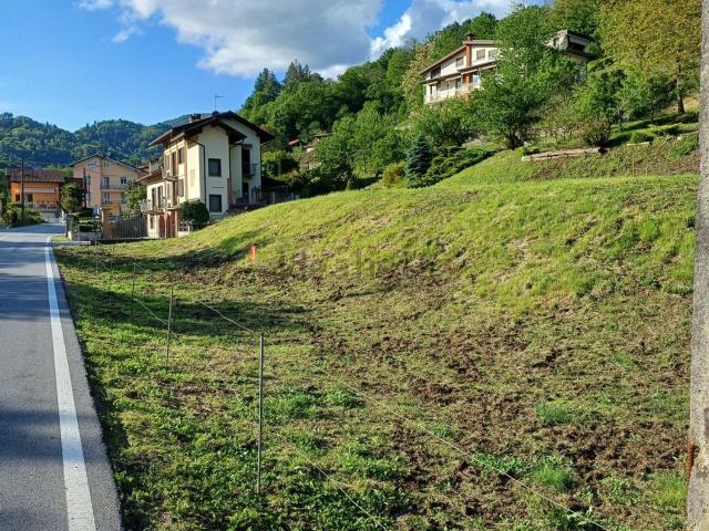 Terreno in vendita di 800 m² in Frazione Plello, 2