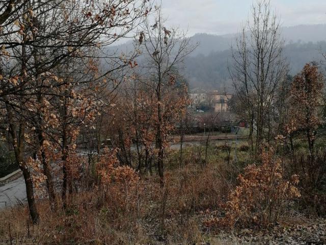 Terreno in vendita di 800 m² in Via Costa Dellulivo