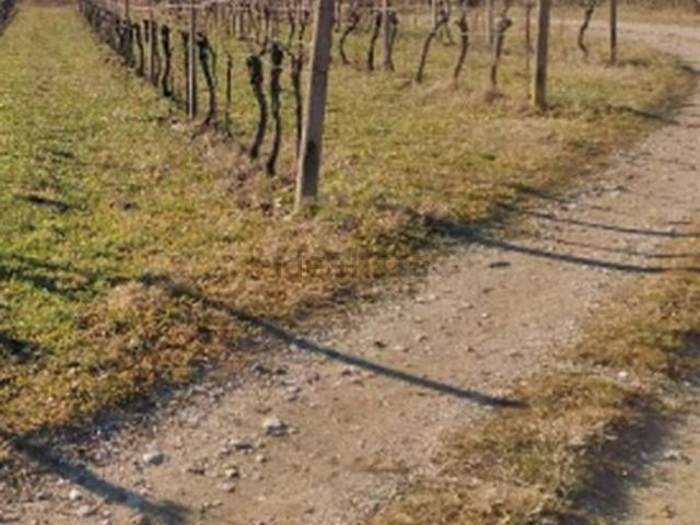 Terreno in vendita di 8140 m² in Via Collevillano