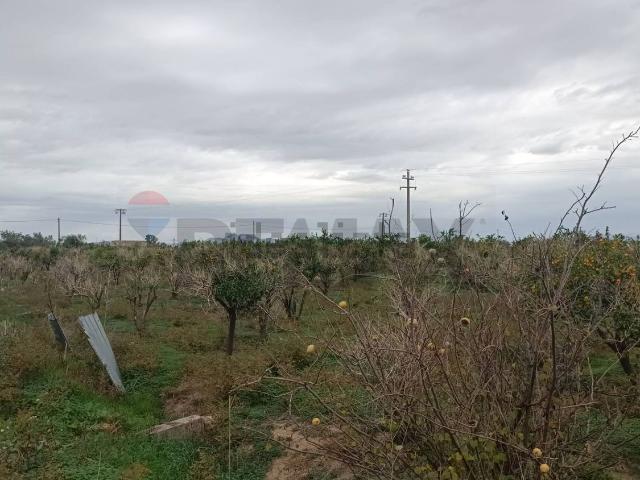 Terreno in vendita di 8169 m² in Contrada Davara