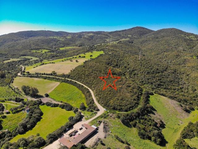 Terreno in vendita di 81700 m² in Località Is Carillus, 15