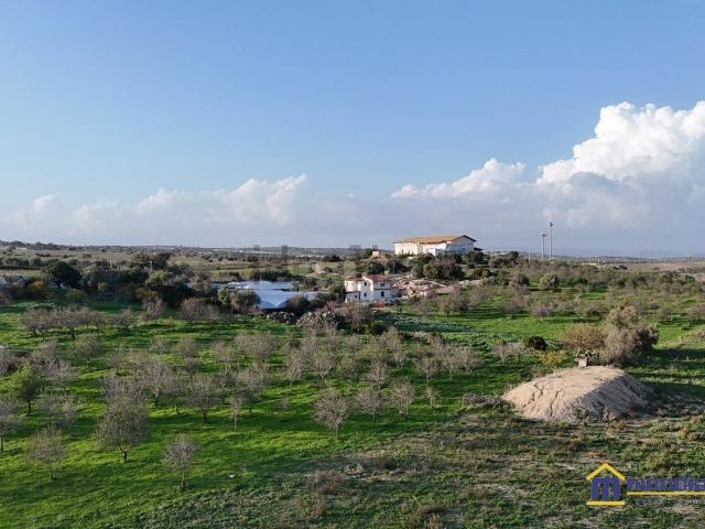 Terreno in vendita di 8180 m² in Strada Provinciale 19