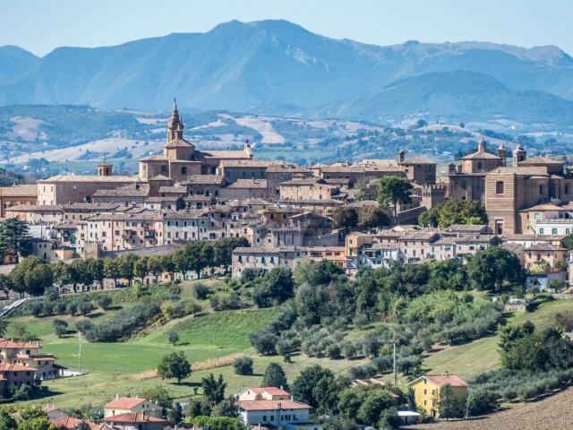 Terreno in vendita di 8188 m²