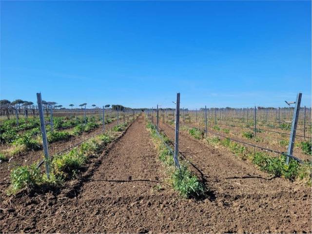 Terreno in vendita di 80000 m² in Strada Statale 544