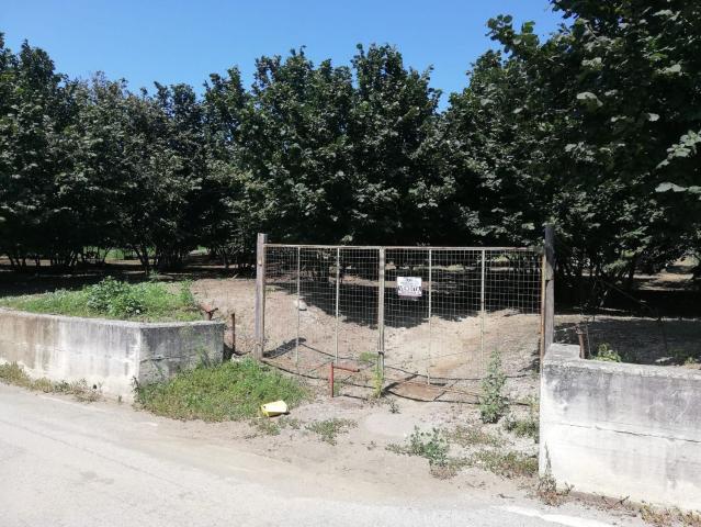 Terreno in vendita di 8100 m² in Via Bosco Magliano