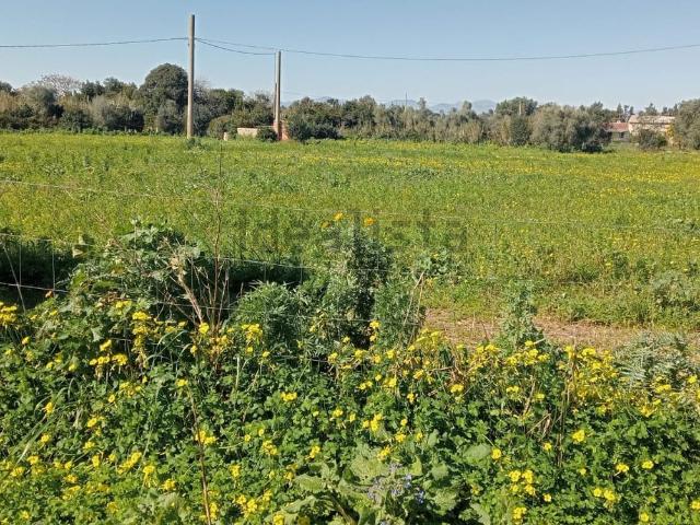 Terreno in vendita di 8245 m² in Via Giardini, 117