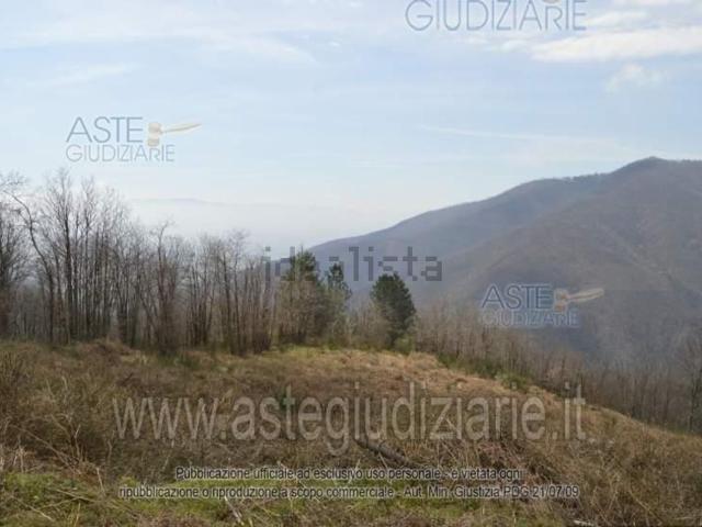 Terreno in vendita di 82570 m² in Via Eugenio Montale