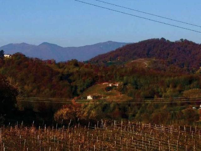 Terreno in vendita di 83636 m² in Via Mire