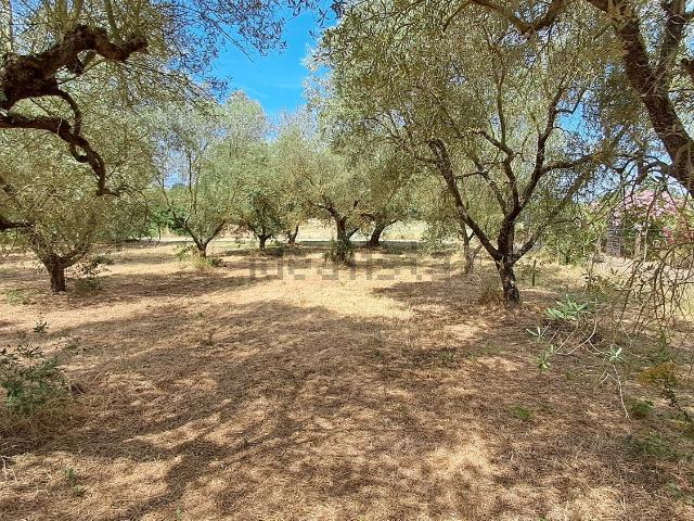 Terreno in vendita di 8300 m² in Via Notazie