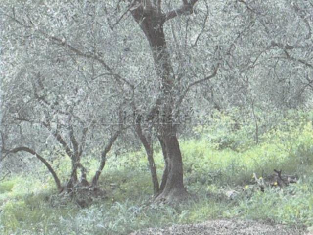 Terreno in vendita di 831 m² in Strada Comunale dei Massabovi, 52