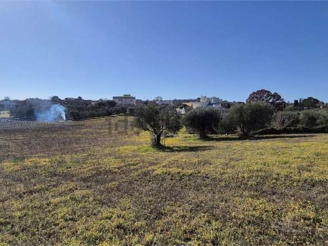 Terreno in vendita di 8400 m² in Strada Provinciale 16