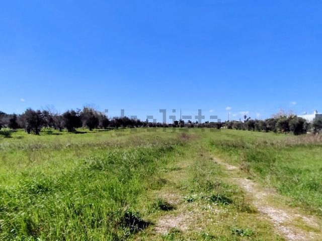 Terreno in vendita di 8412 m² in Contrada Paradiso