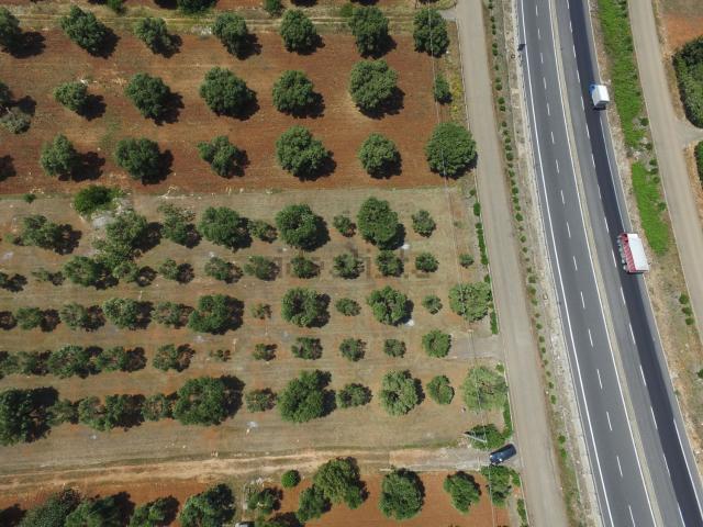Terreno in vendita di 8500 m² in Contrada Bufalaria
