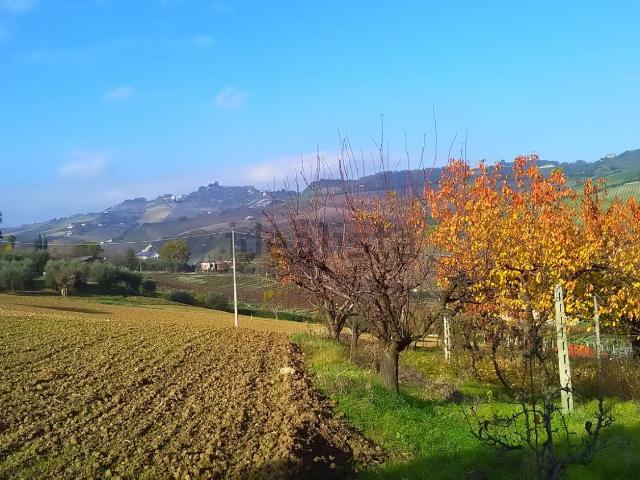 Terreno in vendita di 8500 m² in Contrada Bora Ragnola