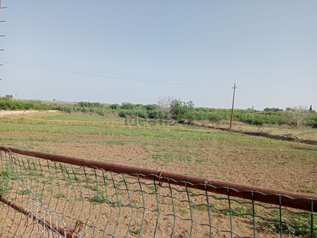 Terreno in vendita di 8500 m² in Contrada Cannarella