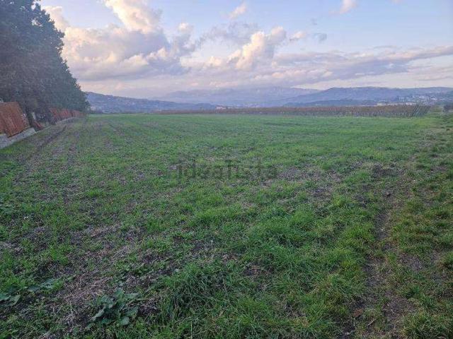 Terreno in vendita di 8500 m² in Contrada Roseto
