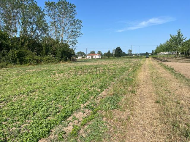 Terreno in vendita di 8500 m² in Località Pontemaodino Centro