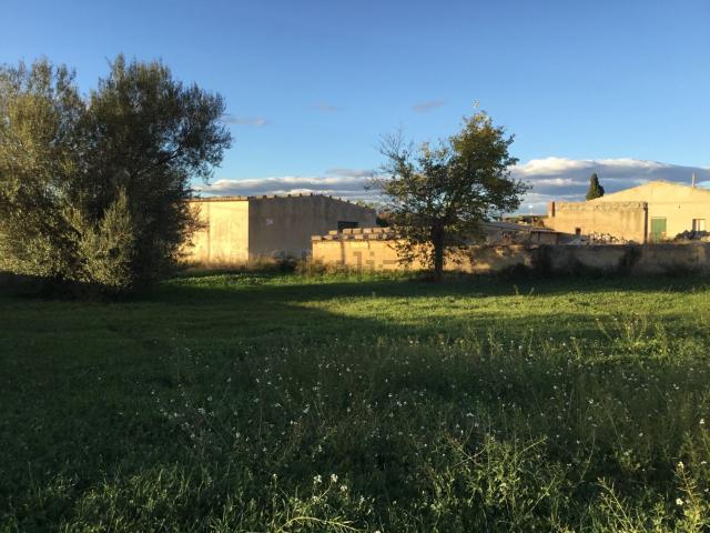 Terreno in vendita di 8500 m² in Via Etnea, 41
