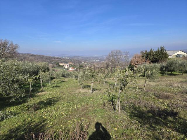 Terreno in vendita di 8500 m² in Via San Francesco