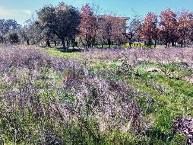 Terreno in vendita di 865 m² in Contrada Santa Maria dell&apos Arco, 56