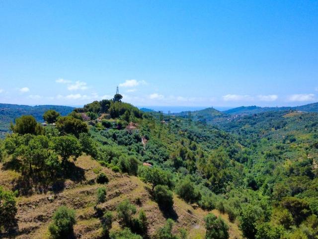 Terreno in vendita di 8671 m² in Strada Barella