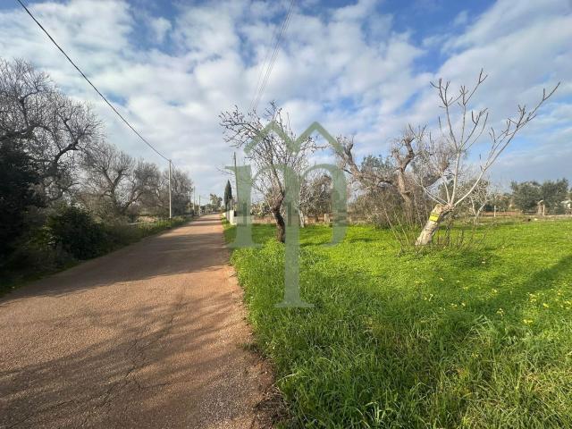 Terreno in vendita di 8696 m² in Contrada Campi