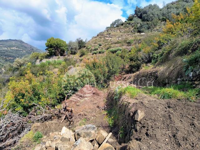 Terreno in vendita di 8600 m² in Strada Provinciale 62