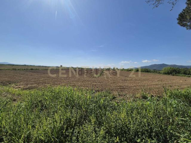 Terreno in vendita di 86040 m² in Piazza Fratelli Rosselli