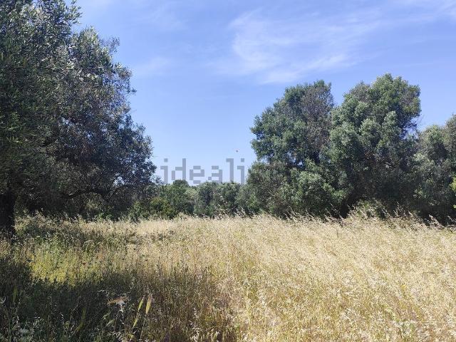 Terreno in vendita di 8775 m² in Strada Provinciale 14
