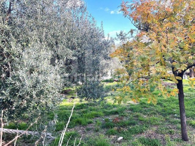 Terreno in vendita di 871 m² in Via del Carabiniere