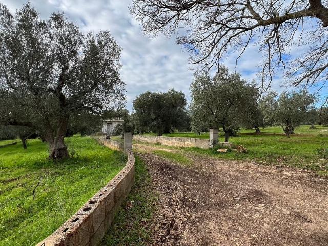 Terreno in vendita di 8875 m² in Contrada Lamatroccola