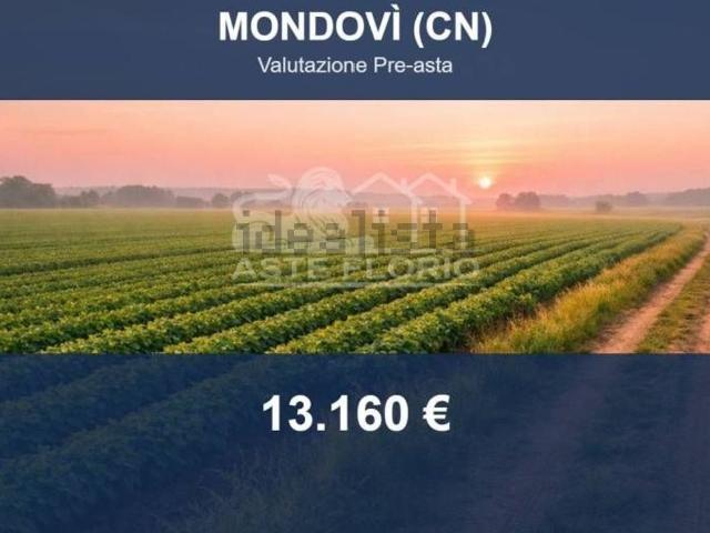 Terreno in vendita di 880 m² in Vicolo Giuseppe Pizzo