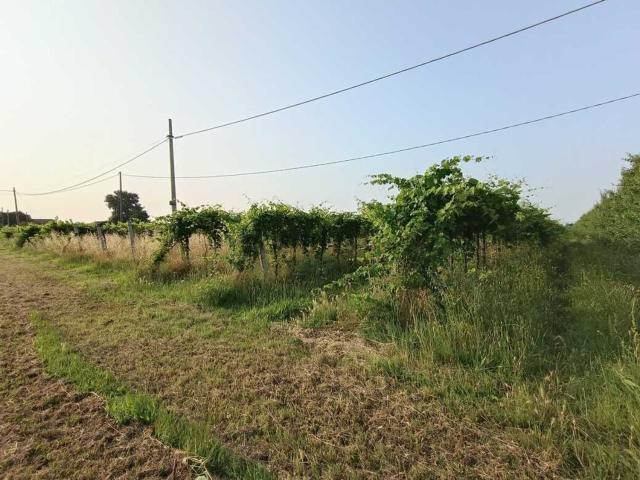 Terreno in vendita di 88188 m² in Via Corona, 12